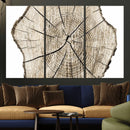Abstract Wood Tree Ring Wall Art - Ready to Hang Minimalist