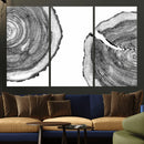 Abstract Large Tree Rings – Minimalist Black and White Wood