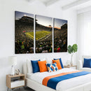 Oregon Stadium Canvas Wall Art - Captivating Game Day Scene
