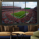 Denver Broncos Football Team Print - Empower Field Mile High