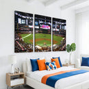 Arizona Diamondbacks Baseball Team Print - Phoenix Chase