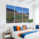 University of Missouri Tigers Football Team Print - Columbia