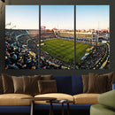 Boca Juniors Soccer Team Print - Buenos Aires Bombonera