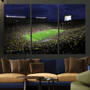 Michigan Wolverines Football Canvas Wall Decor, Football