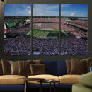 South Carolina Gamecocks Football Team Print - Columbia