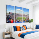 Buffalo Bills NFL Football Team Print - Buffalo Highmark