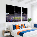 Buffalo Bills Wall Art - Buffalo Bills Stadium Canvas Print,