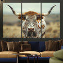 Texas Cow Longhorn Wall Art Canvas Print for Farm House Wall