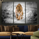 Jaguar Wall Art Canvas Print - Majestic Big Cat in Focused by MyGreatCanvas | Canvas Wall Art Prints | Photo Prints & Wall Decor