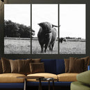 Black and White Highland Cow Wall Art Canvas Print | Rustic