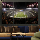Eagles Field Stadium Wall Art - Philadelphia Eagles Football