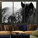 Black Horse in Snow Canvas Print | Winter Horse Wall Art |