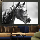 Horse Canvas Print - Winter Horse Snow Wall Art Canvas Print