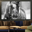 Black and White Horse Winter Wall Art | Ready to Hang and