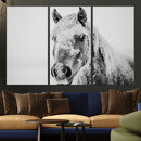 White Horse Wall Art | Ready to Hang and Framed | Winter