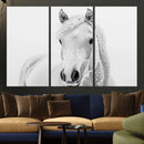 Majestic White Horse Wall Art | Ready to Hang and Framed |
