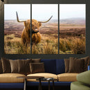 Scottish Highland Cow Canvas Wall Art – Rustic Farmhouse