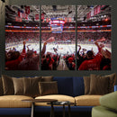 Carolina Hurricanes Ice Hockey Stadium Wall Art, Carolina
