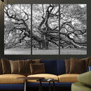 Black White Angel Oak Tree Wall Art - Timeless