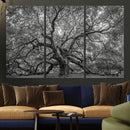 Majestic Angel Oak Tree Black and White Canvas Print – Multi by MyGreatCanvas | Canvas Wall Art Prints | Photo Prints & Wall Decor