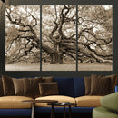 Sepia Framed Angel Oak Tree Wall Art - 3-Panel Canvas by MyGreatCanvas | Canvas Wall Art Prints | Photo Prints & Wall Decor