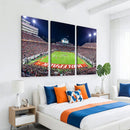 NC State Wolfpack Canvas Print - Raleigh Carter-Finley
