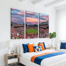 Carter-Finley Stadium Art Sunset Game Triple Canvas Wall Art