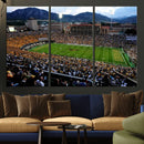Colorado Buffaloes Canvas Print - Boulder Folsom Field