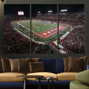 Houston Cougars Football Team Print - Houston TDECU Stadium