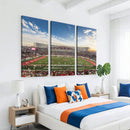 Framed Houston Cougars Football Team Print - Houston TDECU