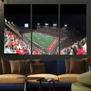 Houston Cougars Football Team Print - Houston TDECU Stadium