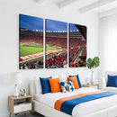 Wisconsin Badgers Football Team Print - Madison Camp Randall