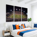 Demon Deacons Print Canvas, Football Team Print -