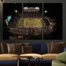 Wake Forest University Demon Deacons Canvas Printi, Football