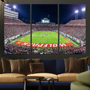Wolfpack Football Team Print - Raleigh Carter-Finley Stadium