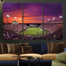East Carolina University Pirates Football Print Canvas-