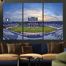 Florida Atlantic University Owls Football Team Print - Boca by MyGreatCanvas | Canvas Wall Art Prints | Photo Prints & Wall Decor