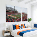 University of Illinois Fighting Illini Football Team Print -
