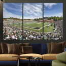 University of Charlotte 49ers Football Team Print - by MyGreatCanvas | Canvas Wall Art Prints | Photo Prints & Wall Decor