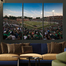 University of Charlotte 49ers Football Team Print - by MyGreatCanvas | Canvas Wall Art Prints | Photo Prints & Wall Decor