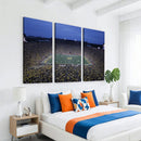 University of Michigan Wolverines Football Team Print - Ann