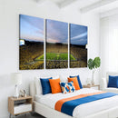University of Michigan Wolverines Football Team Print - Ann