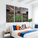 University of Michigan Wolverines Print Canvas, Football