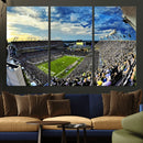 Framed USF Bulls Football Team Print - Tampa Raymond James by MyGreatCanvas | Canvas Wall Art Prints | Photo Prints & Wall Decor