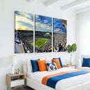 Framed USF Bulls Football Team Print - Tampa Raymond James