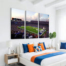 Buffalo Bills Football Team Print - Buffalo Highmark Stadium