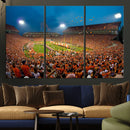 Clemson University Tigers Football Team Print - Clemson