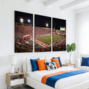 Indiana University Hoosiers Football Team Print Canvas -