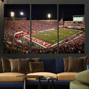 Indiana University Hoosiers Football Team Print Canvas