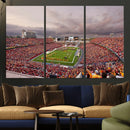 Iowa State University Cyclones Football Team Print - Ames